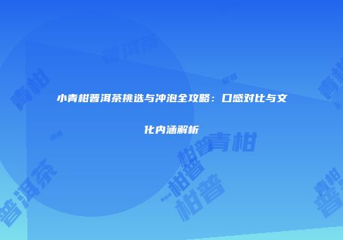小青柑普洱茶挑选与冲泡全攻略：口感对比与文化内涵解析