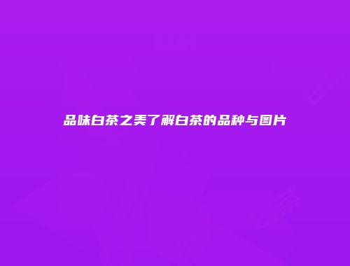 品味白茶之美了解白茶的品种与图片