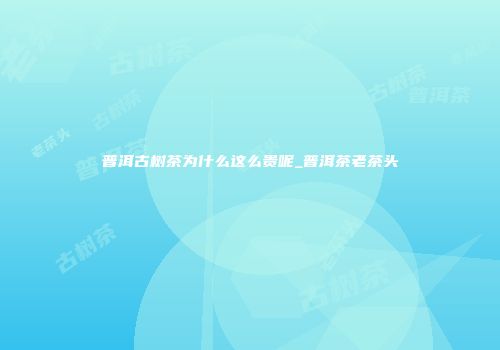 普洱古树茶为什么这么贵呢_普洱茶老茶头