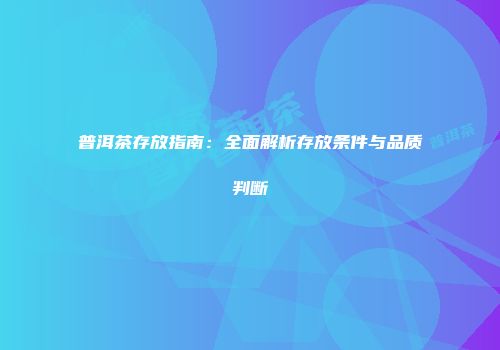 普洱茶存放指南：全面解析存放条件与品质判断