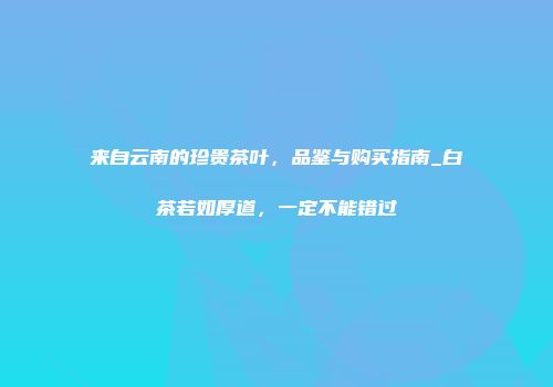来自云南的珍贵茶叶，品鉴与购买指南_白茶若如厚道，一定不能错过