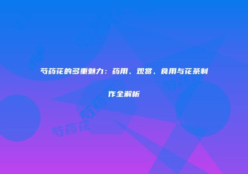 芍药花的多重魅力：药用、观赏、食用与花茶制作全解析