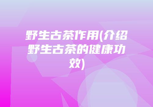 野生古茶作用(介绍野生古茶的健康功效)