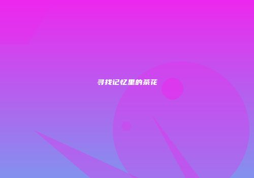 寻找记忆里的茶花