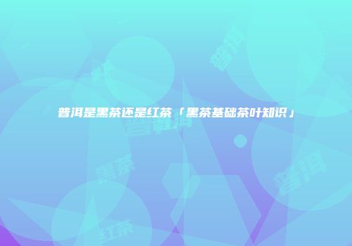 普洱是黑茶还是红茶「黑茶基础茶叶知识」