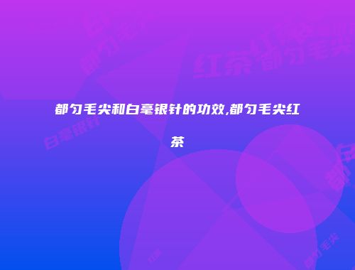 都匀毛尖和白毫银针的功效,都匀毛尖红茶