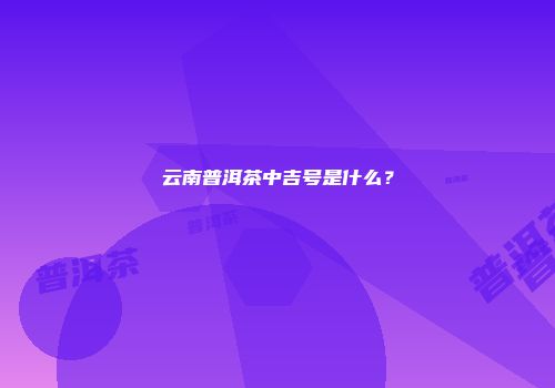 云南普洱茶中吉号是什么？