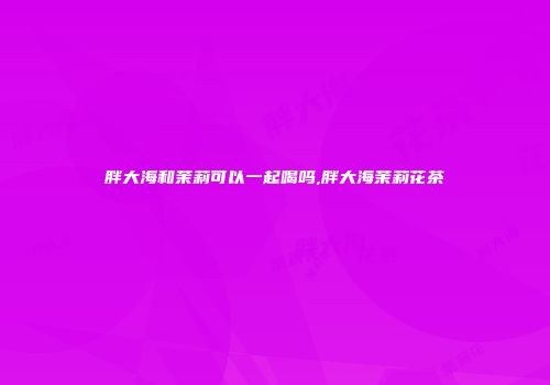 胖大海和茉莉可以一起喝吗,胖大海茉莉花茶