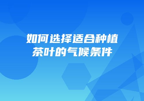 如何选择适合种植茶叶的气候条件