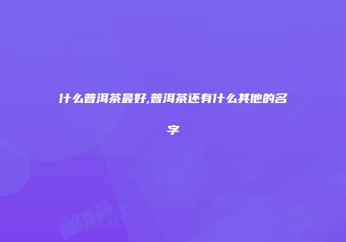 什么普洱茶最好,普洱茶还有什么其他的名字