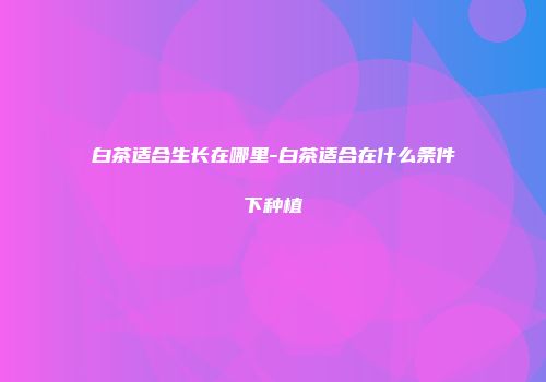 白茶适合生长在哪里-白茶适合在什么条件下种植