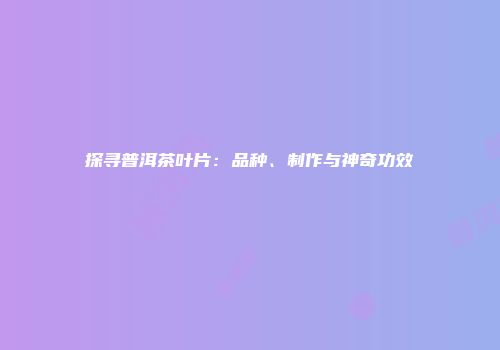 探寻普洱茶叶片：品种、制作与神奇功效