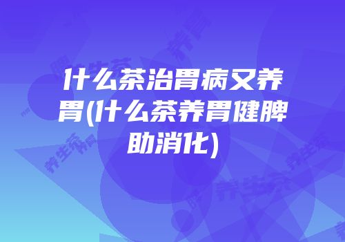 什么茶治胃病又养胃(什么茶养胃健脾助消化)