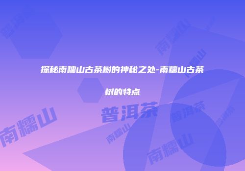 探秘南糯山古茶树的神秘之处-南糯山古茶树的特点