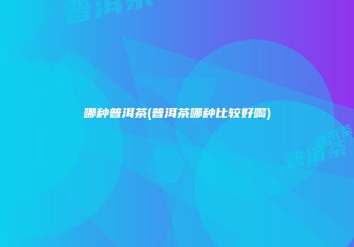哪种普洱茶(普洱茶哪种比较好喝)