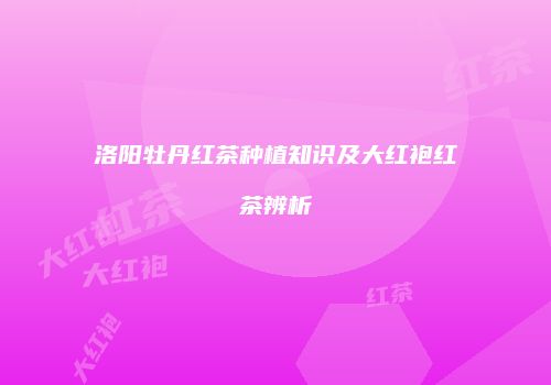 洛阳牡丹红茶种植知识及大红袍红茶辨析