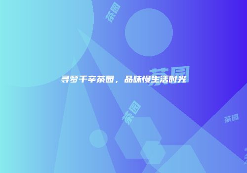 寻梦千辛茶园，品味慢生活时光