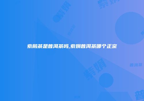 紫鹃茶是普洱茶吗,紫娟普洱茶哪个正宗