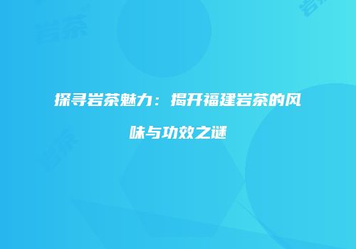 探寻岩茶魅力：揭开福建岩茶的风味与功效之谜