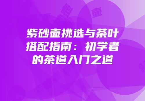 紫砂壶挑选与茶叶搭配指南：初学者的茶道入门之道