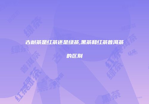 古树茶是红茶还是绿茶,黑茶和红茶普洱茶的区别