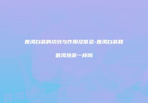 普洱白茶的功效与作用及禁忌-普洱白茶和普洱熟茶一样吗
