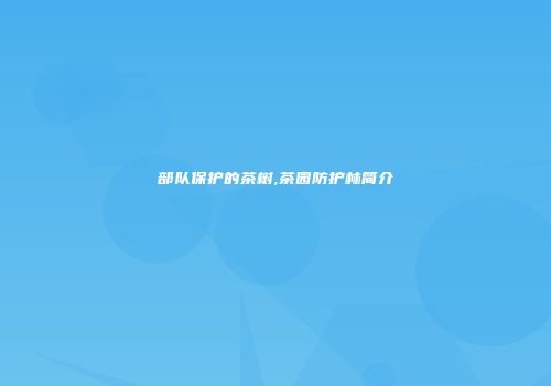 部队保护的茶树,茶园防护林简介