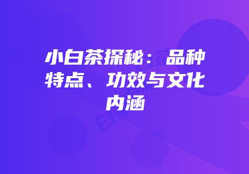 小白茶探秘：品种特点、功效与文化内涵