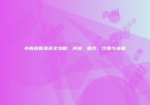 小青柑普洱茶全攻略：冲泡、保存、饮用与品鉴