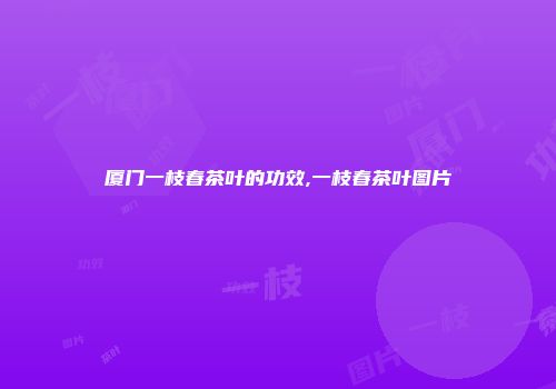 厦门一枝春茶叶的功效,一枝春茶叶图片