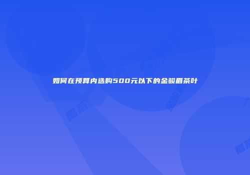 如何在预算内选购500元以下的金骏眉茶叶