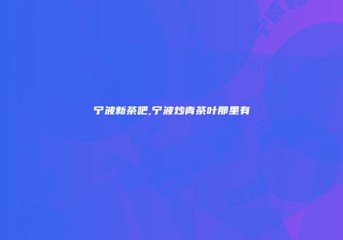宁波新茶吧,宁波炒青茶叶那里有