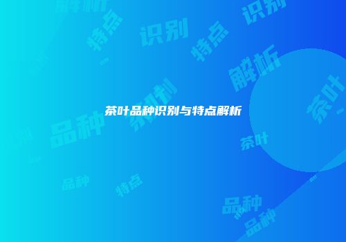 茶叶品种识别与特点解析
