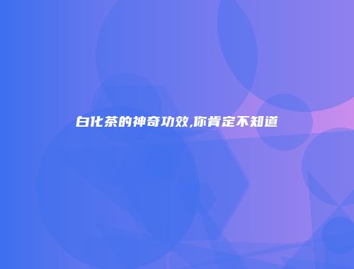白化茶的神奇功效,你肯定不知道