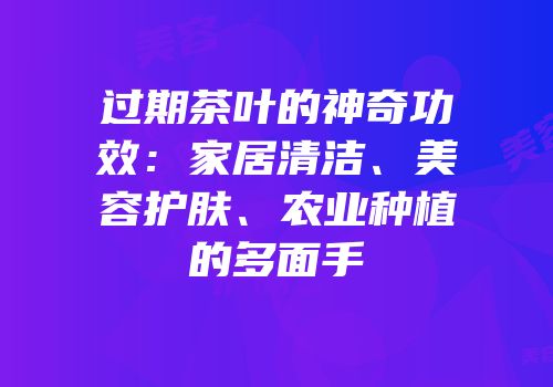 过期茶叶的神奇功效：家居清洁、美容护肤、农业种植的多面手