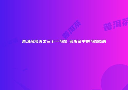 普洱茶常识之三十一马蹄_普洱茶中的马蹄脚吗