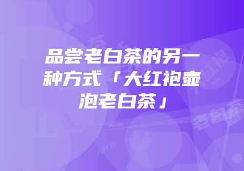 品尝老白茶的另一种方式「大红袍壶泡老白茶」
