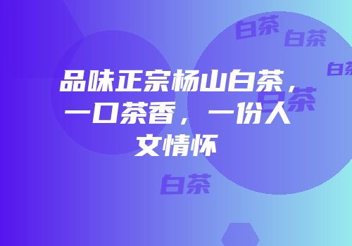 品味正宗杨山白茶，一口茶香，一份人文情怀