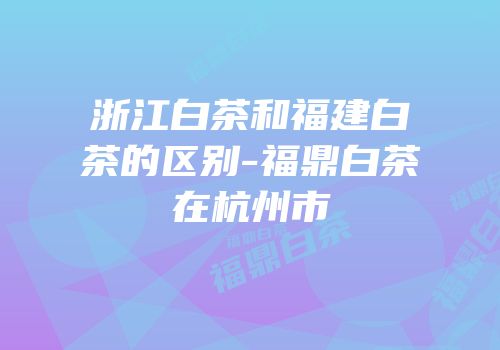 浙江白茶和福建白茶的区别-福鼎白茶在杭州市