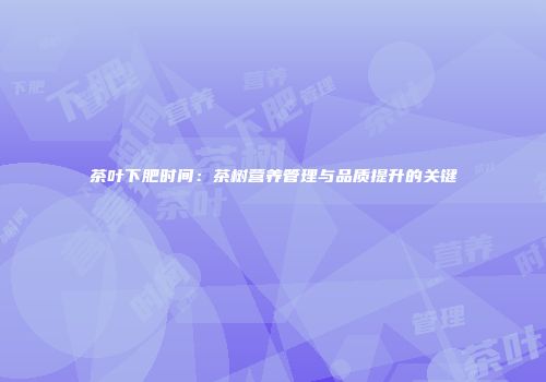 茶叶下肥时间：茶树营养管理与品质提升的关键