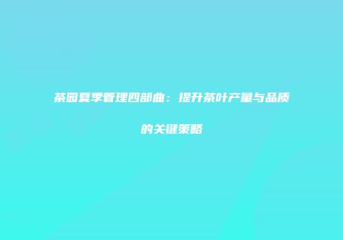 茶园夏季管理四部曲：提升茶叶产量与品质的关键策略