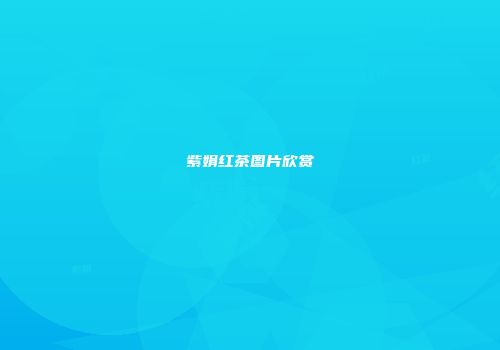 紫娟红茶图片欣赏