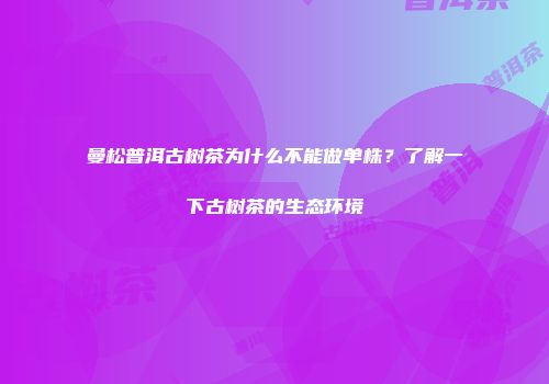曼松普洱古树茶为什么不能做单株？了解一下古树茶的生态环境