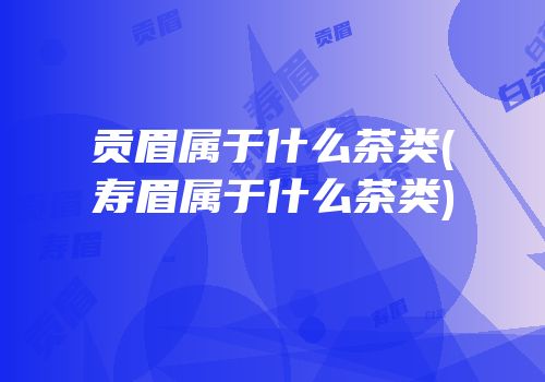 贡眉属于什么茶类(寿眉属于什么茶类)