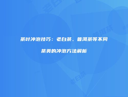 茶叶冲泡技巧：老白茶、普洱茶等不同茶类的冲泡方法解析