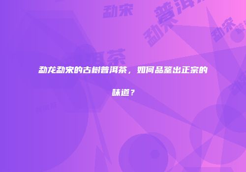 勐龙勐宋的古树普洱茶，如何品鉴出正宗的味道？