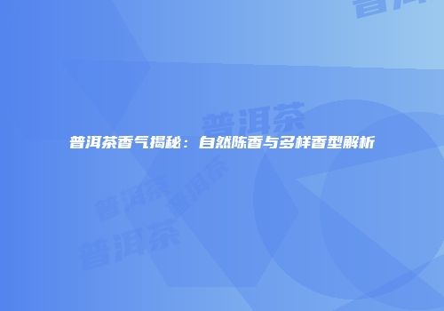普洱茶香气揭秘：自然陈香与多样香型解析