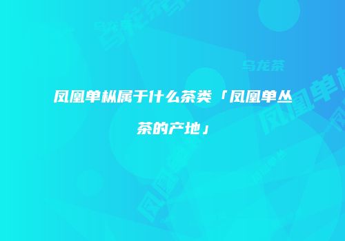 凤凰单枞属于什么茶类「凤凰单丛茶的产地」