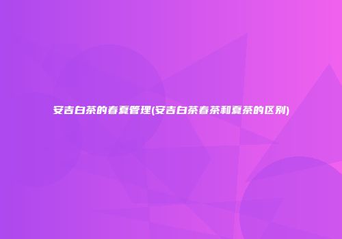 安吉白茶的春夏管理(安吉白茶春茶和夏茶的区别)