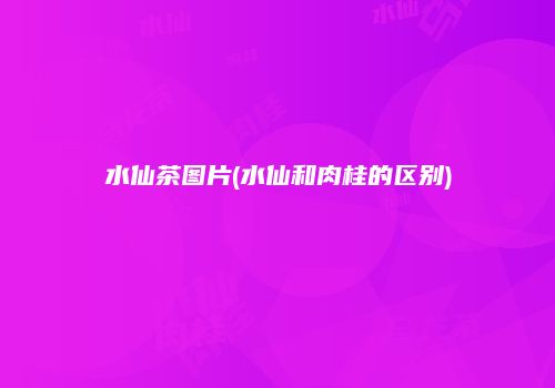 水仙茶图片(水仙和肉桂的区别)